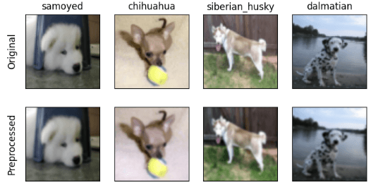 Image Classification & Transfer Learning Preprocessing
